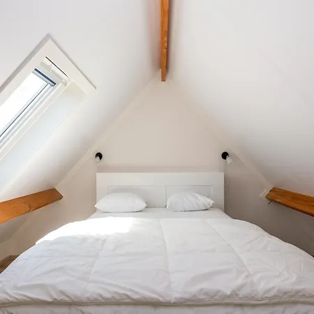 Classy Polder House Near